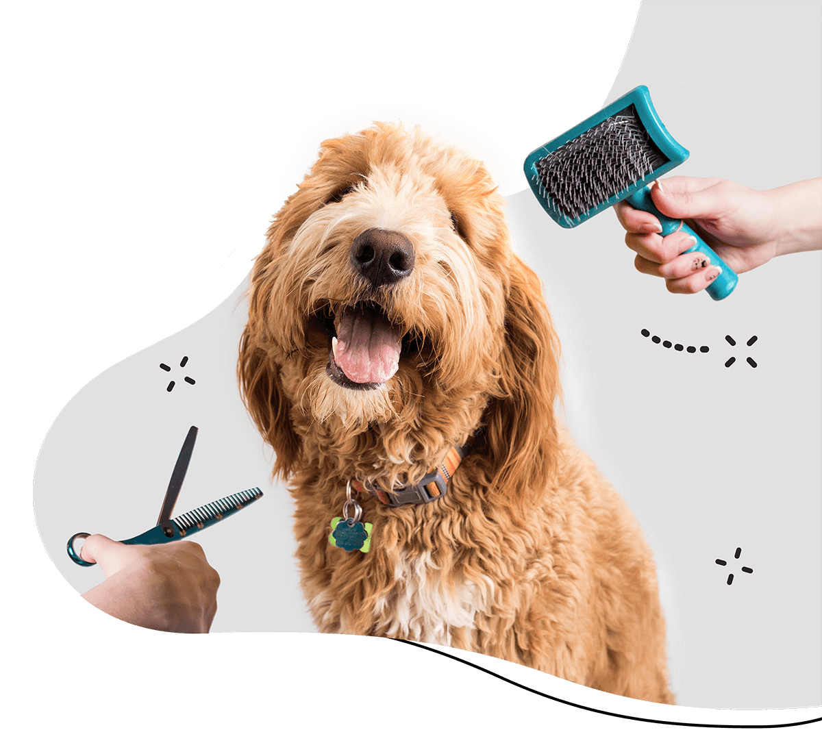 https://atelierdewoof.fr/wp-content/uploads/2019/08/hero_home_3.png