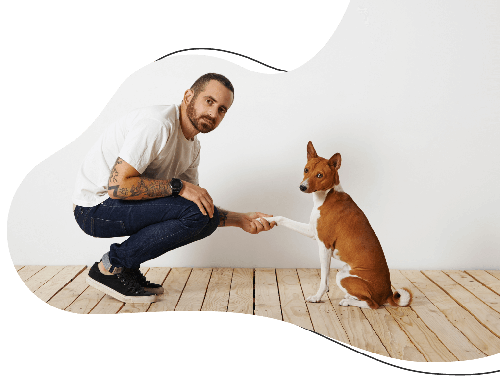 https://atelierdewoof.fr/wp-content/uploads/2019/08/hero_image_08.png