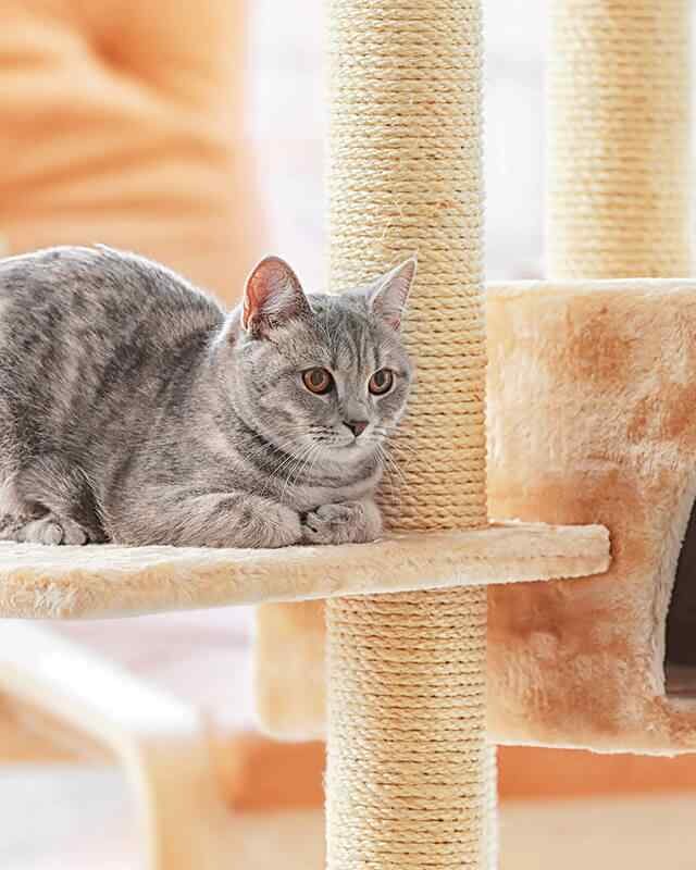 https://atelierdewoof.fr/wp-content/uploads/2019/08/inner_image_01-640x800.jpg